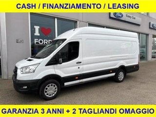 FORD Transit 350 2.0TDCi EcoBlue 170CV PL-SL-TA Furg. Jumbo Trend