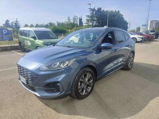 FORD Kuga 1.5 EcoBlue 120 CV 2WD ST-Line